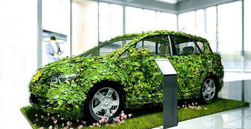 草莓污污视频漆